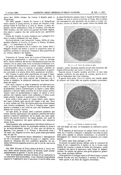 Gazzetta degli ospedali e delle cliniche