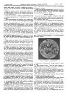 giornale/UM10002936/1901/V.22.2/00000739