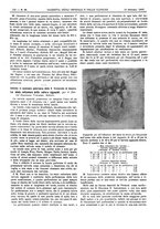 giornale/UM10002936/1902/V.23.1/00000304