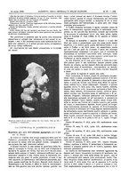 giornale/UM10002936/1902/V.23.1/00000461