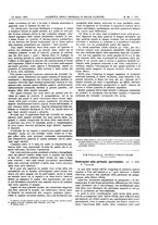 giornale/UM10002936/1902/V.23.1/00000509