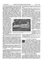 giornale/UM10002936/1902/V.23.1/00001141