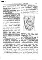 giornale/UM10002936/1902/V.23.2/00000071