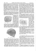giornale/UM10002936/1902/V.23.2/00000186