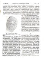 giornale/UM10002936/1902/V.23.2/00000187