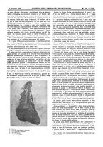 giornale/UM10002936/1903/V.24.2/00000723