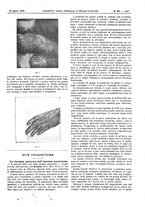 giornale/UM10002936/1904/V.25.2/00000245