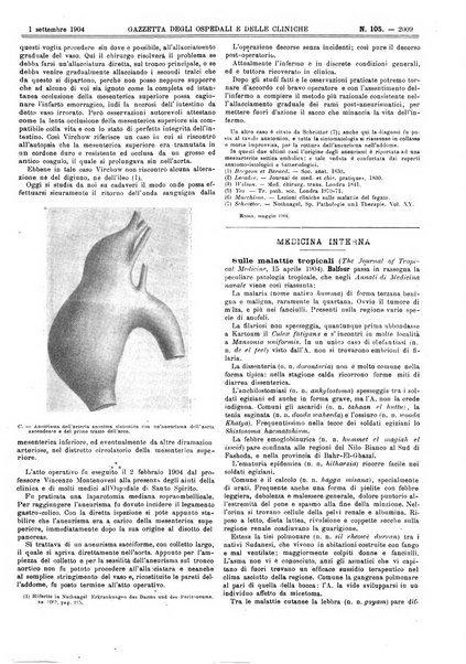 Gazzetta degli ospedali e delle cliniche