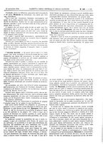 giornale/UM10002936/1904/V.25.2/00000683