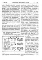 giornale/UM10002936/1905/V.26.1/00000413