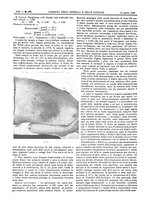 giornale/UM10002936/1906/V.27.2/00000238