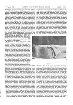 giornale/UM10002936/1906/V.27.2/00000239