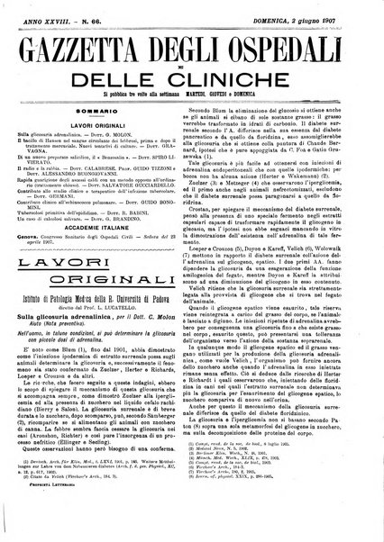 Gazzetta degli ospedali e delle cliniche