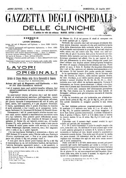 Gazzetta degli ospedali e delle cliniche