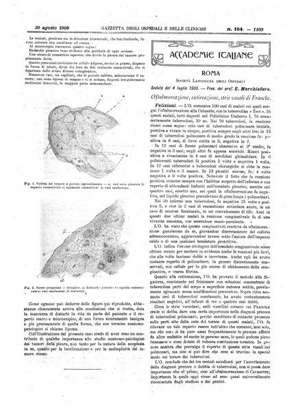 Gazzetta degli ospedali e delle cliniche