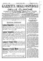 giornale/UM10002936/1908/V.29.2/00000733