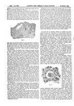 giornale/UM10002936/1908/V.29.2/00000824