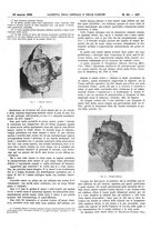 giornale/UM10002936/1909/V.30.1/00000607