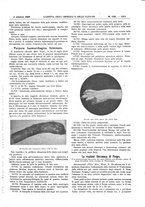 giornale/UM10002936/1909/V.30.2/00000459