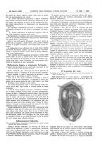 giornale/UM10002936/1909/V.30.2/00000573