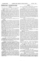 giornale/UM10002936/1910/V.31.1/00001267