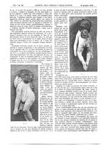 giornale/UM10002936/1910/V.31.1/00001316