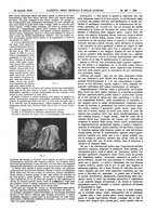 giornale/UM10002936/1912/V.33.1/00000331