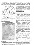 giornale/UM10002936/1912/V.33.1/00000395