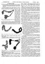 giornale/UM10002936/1912/V.33.2/00000739