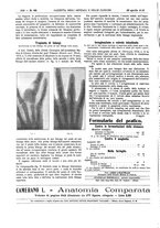 giornale/UM10002936/1913/V.34.1/00000532