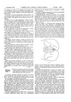 giornale/UM10002936/1913/V.34.2/00000275