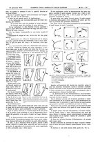 giornale/UM10002936/1915/V.36.1/00000071