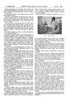 giornale/UM10002936/1916/V.37.2/00000083