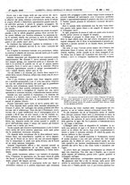 giornale/UM10002936/1916/V.37.2/00000137