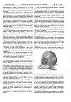 giornale/UM10002936/1916/V.37.2/00000213