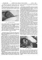 giornale/UM10002936/1916/V.37.2/00000287