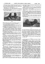 giornale/UM10002936/1916/V.37.2/00000547