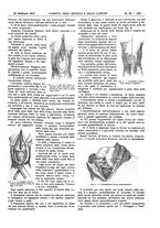 giornale/UM10002936/1917/V.38.1/00000321