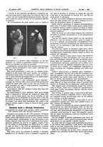 giornale/UM10002936/1917/V.38.1/00000505