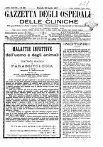 giornale/UM10002936/1917/V.38.1/00000733