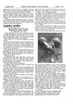 giornale/UM10002936/1917/V.38.2/00000239