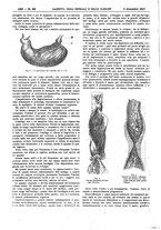 giornale/UM10002936/1917/V.38.2/00000898
