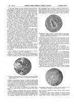 giornale/UM10002936/1922/V.43.1/00000014