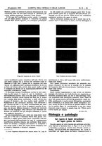 giornale/UM10002936/1923/V.44.1/00000107