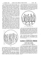 giornale/UM10002936/1924/unico/00000953