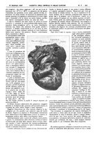 giornale/UM10002936/1925/unico/00000167