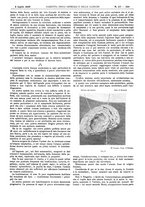 giornale/UM10002936/1926/unico/00000637
