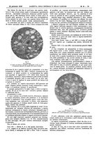 giornale/UM10002936/1928/unico/00000137