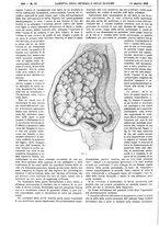 giornale/UM10002936/1928/unico/00000394