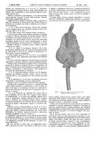giornale/UM10002936/1928/unico/00000511